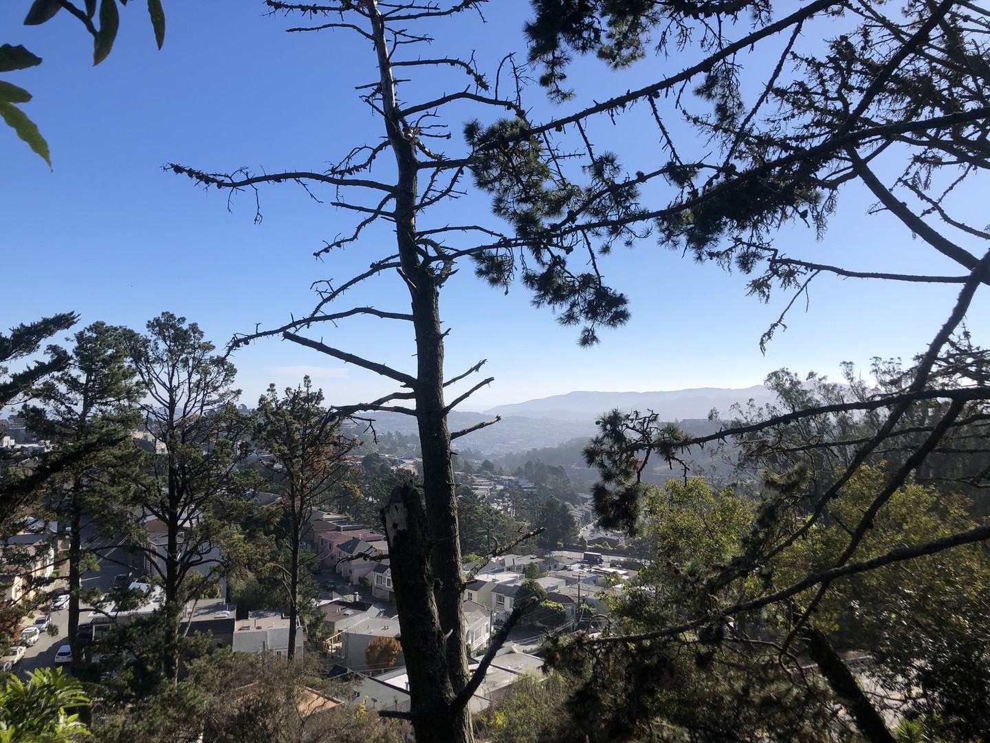 Real estate in San Franisco