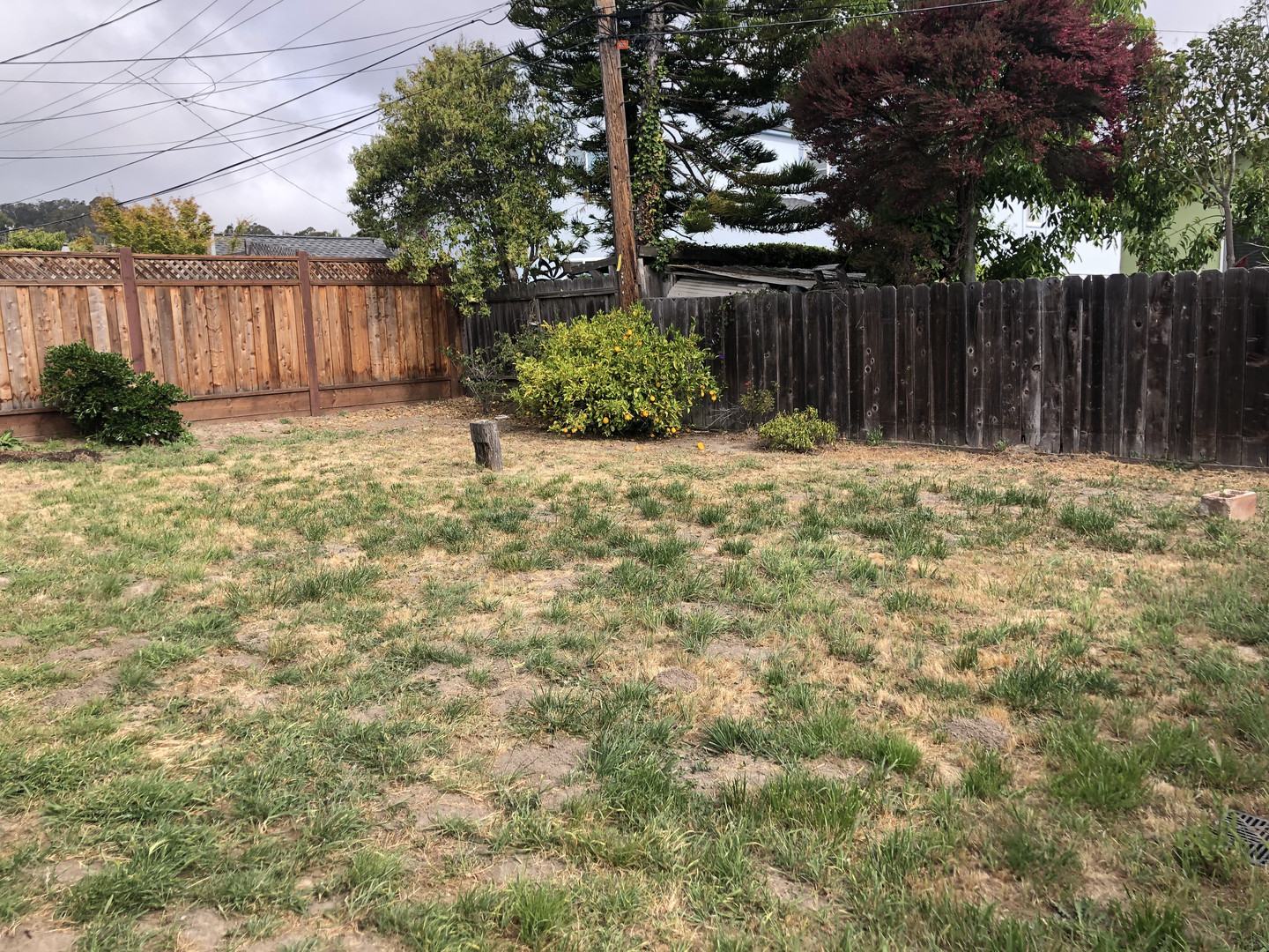 Real estate listings in San Bruno