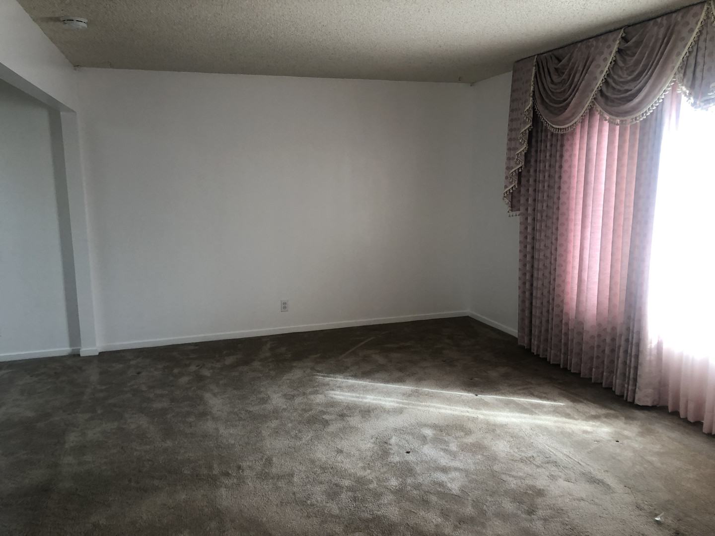 Real estate listings in San Bruno