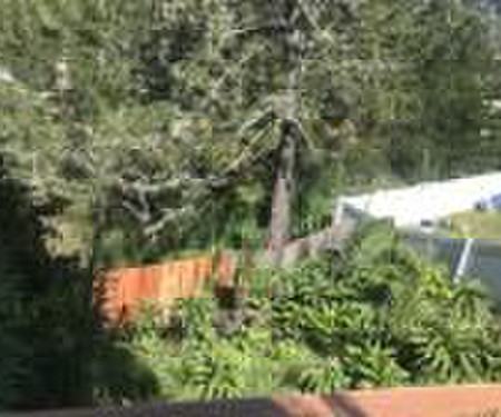 1155 Banyan Way, Pacifica, CA - Thumbnail Image #2
