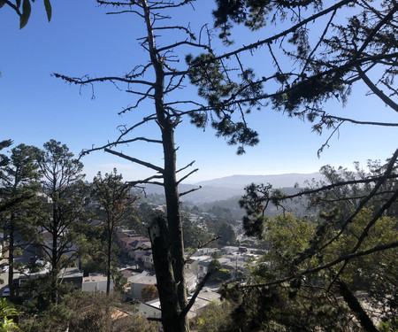 150 Midcrest Way, San Franisco, CA - Thumbnail Image #14