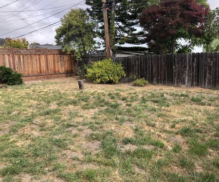 1330 Williams Ave., San Bruno, CA - Thumbnail Image #13