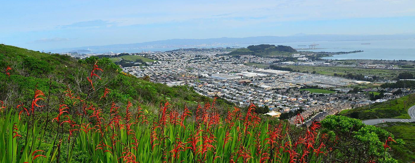 Real Estate - San Mateo County, San Francisco
