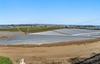 481 San Andreas RD, Watsonville, CA - Thumbnail Image #12