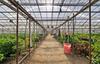 481 San Andreas RD, Watsonville, CA - Thumbnail Image #14