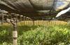 303 & 321 San Andreas Road, Watsonville, CA - Thumbnail Image #8