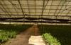 303 & 321 San Andreas Road, Watsonville, CA - Thumbnail Image #11