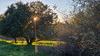 141 Pioneer Road, Watsonville, CA - Thumbnail Image #11