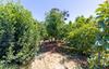 189 Hughes Road, Watsonville, CA - Thumbnail Image #9