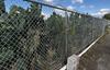 255 Coward Road, Watsonville, CA - Thumbnail Image #11