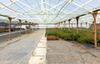 2150 Elkhorn RD. Castroville, Castroville, CA - Thumbnail Image #16