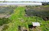 2150 Elkhorn RD. Castroville, Castroville, CA - Thumbnail Image #28