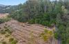 126 Browns Valley RD, Watsonville, CA - Thumbnail Image #3