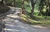 1203 Buena Vista Dr., Watsonville, CA - Thumbnail Image #7