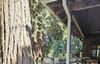 1203 Buena Vista Dr., Watsonville, CA - Thumbnail Image #9