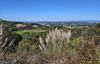 417 Maher RD., Royal Oaks, CA - Thumbnail Image #1