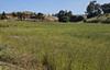 1203 Buena Vista Dr., Watsonville, CA - Thumbnail Image #1