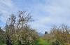 Varni RD, Corralitos, CA - Thumbnail Image #1