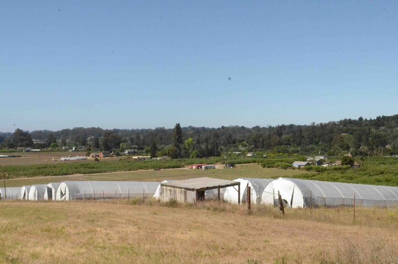 294 Browns Valley Road, Corralitos, Ca, CA - Image #1