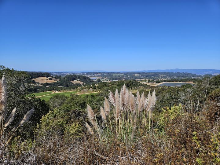 417 Maher RD., Royal Oaks, CA - Image #1