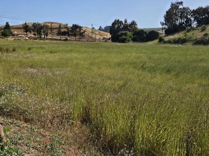 1203 Buena Vista Dr., Watsonville, CA - Image #1