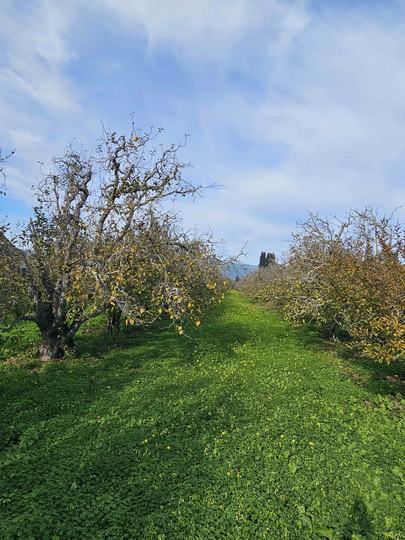 Varni RD, Corralitos, CA - Image #1