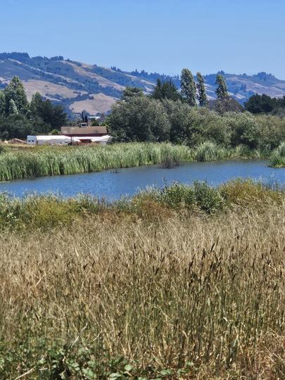 Located off Green Valley RD., Watsonville, CA - Image #1