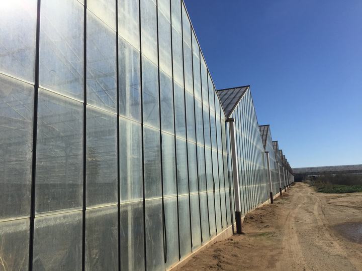 481 San Andreas RD, Watsonville, CA - Image #6