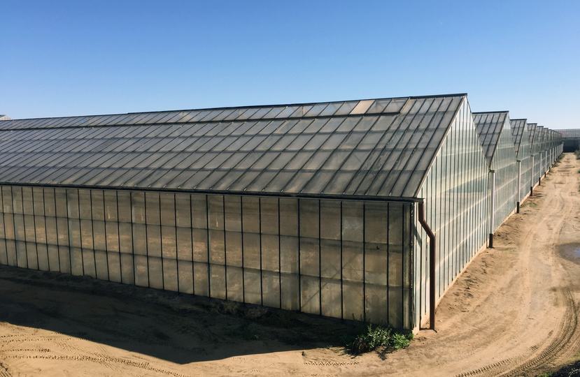 481 San Andreas RD, Watsonville, CA - Image #7