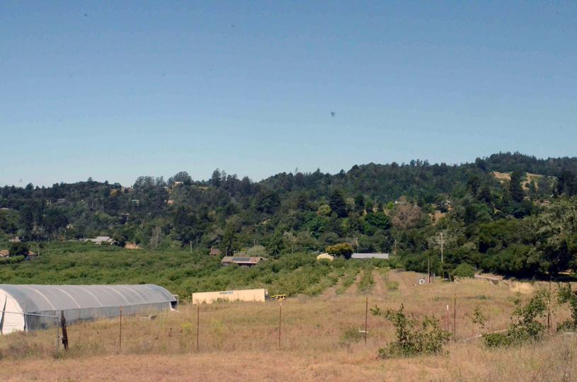 294 Browns Valley Road, Corralitos, Ca, CA - Image #3