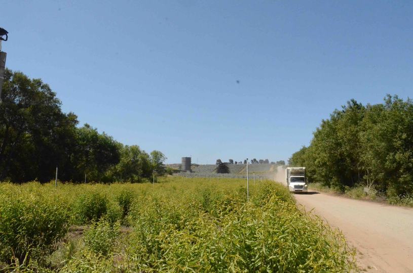 303 & 321 San Andreas Road, Watsonville, CA - Image #4