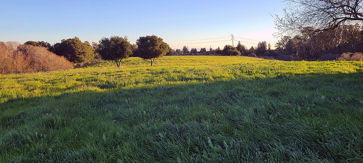 141 Pioneer Road, Watsonville, CA - Image #10