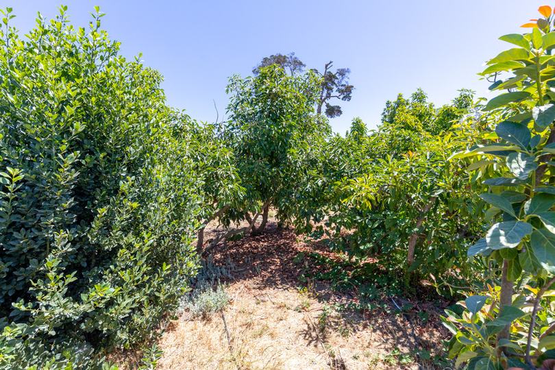 189 Hughes Road, Watsonville, CA - Image #9
