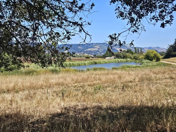 Located off Green Valley RD., Watsonville, CA - Image #2