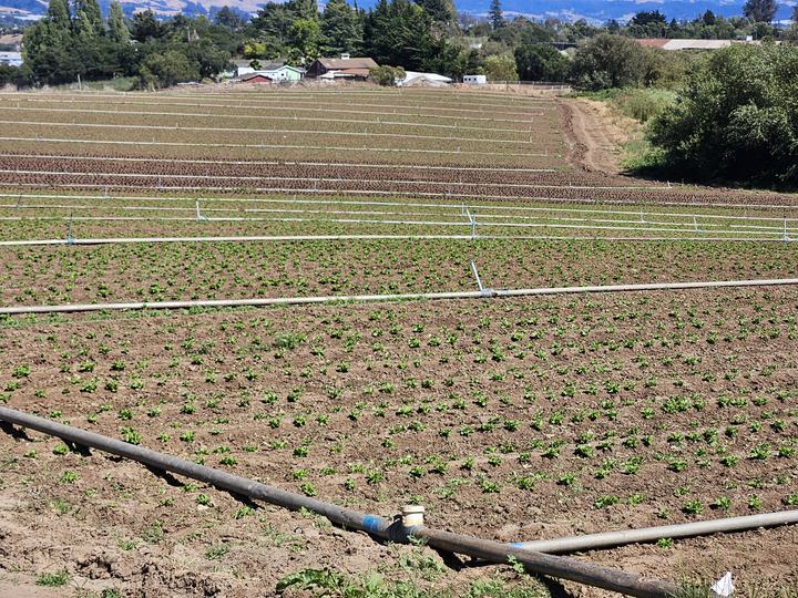 Located off Green Valley RD., Watsonville, CA - Image #4