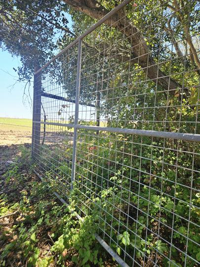 Located off Green Valley RD., Watsonville, CA - Image #5