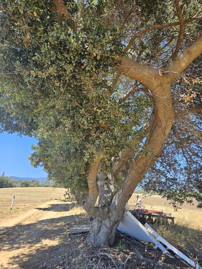 Located off Green Valley RD., Watsonville, CA - Image #6
