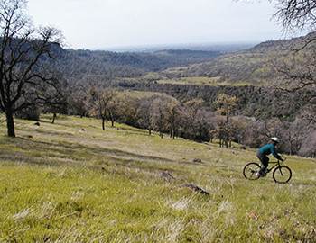 Bidwell Park