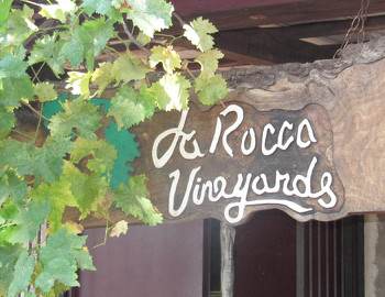 LaRocca Vineyards Tasting Room