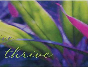 Thrival Living