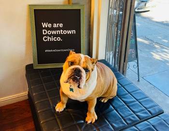 Chico's Barber Shop