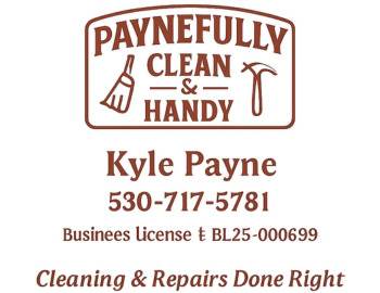 Paynefully Clean & Handy Services LLC