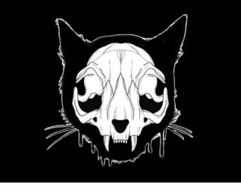 Black Cat Tattoo