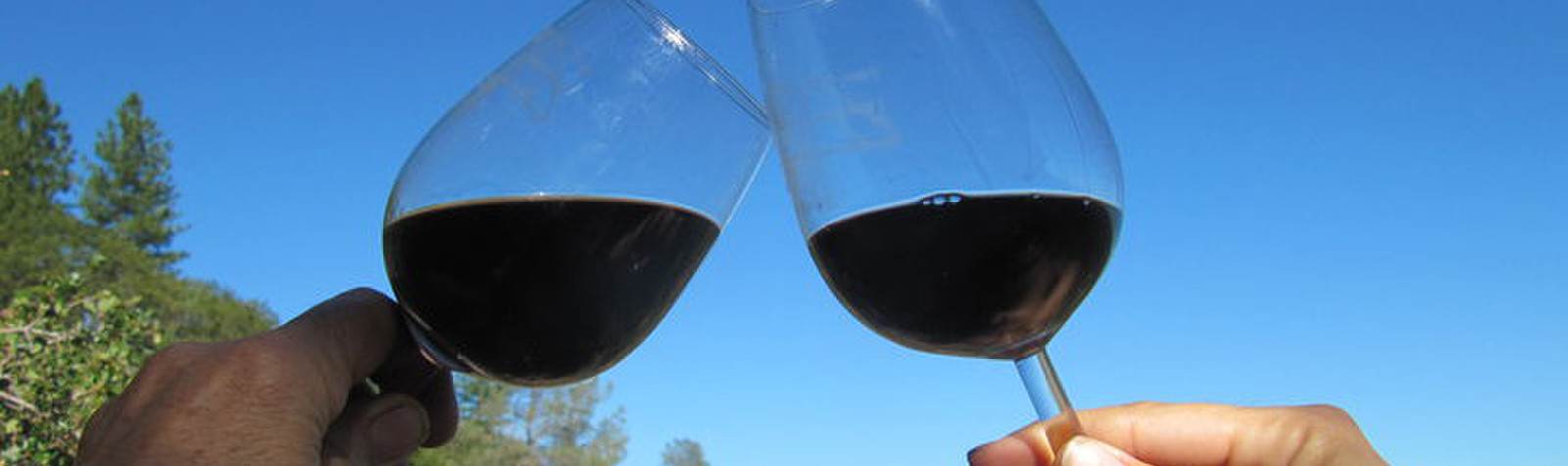 LaRocca Vineyards Tasting Room