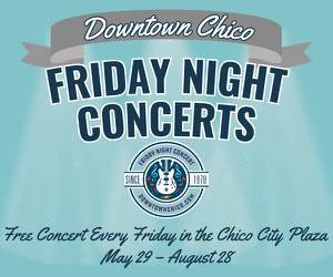 Friday Night Concerts