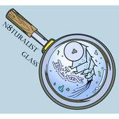 N8turalist Glass Art
