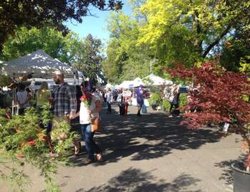 Farmer's Market