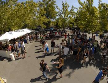 Taste of Chico Beer Garden