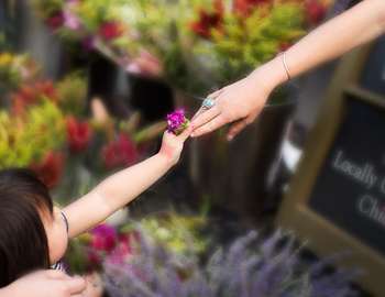 Thursday Night Market Flower Pass