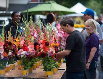 Thursday Night Market Vendors